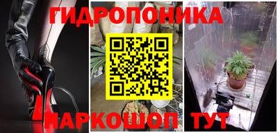 Альфа ПВП Краснознаменск