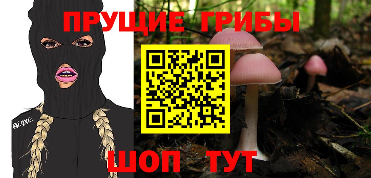 даркнет сайт  Галлюциногенные грибы прущие грибы  Карачаевск  Вход с VPN  Псилоцибиновые грибы мицелий 