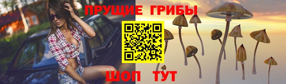 Псилоцибиновые грибы прущие грибы Карачаевск