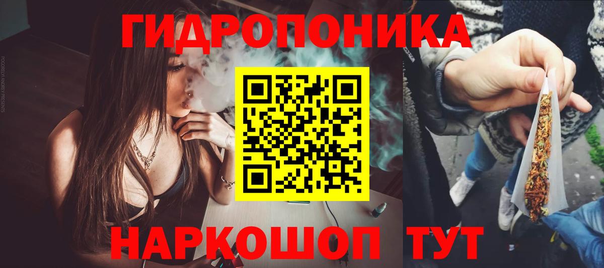 Бошки марихуана гибрид  Марихуана конопля  Каннабис план  Вход с VPN  Карачаевск 